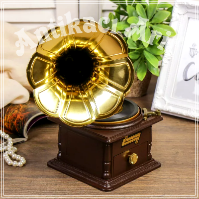 Mini Gramofon Alan yerler